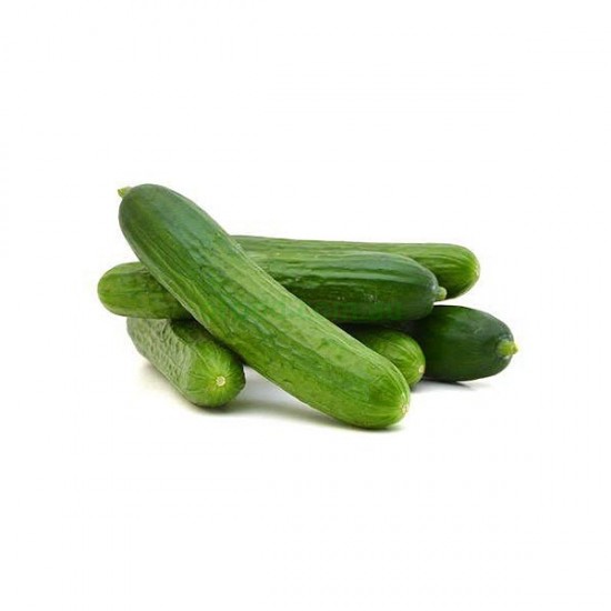 Lebanese cucumber Per Kg