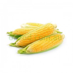 Sweet Corn 3 Units Sweet Corn 3 Units