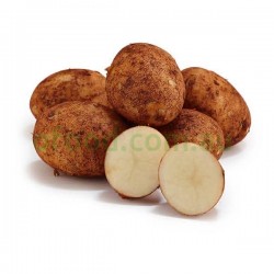 Brushed Potato Per Kg Brushed Potato Per Kg