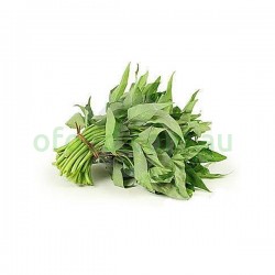 Water Spanich / Morning Glory 3 Bunches Water Spanich / Morning Glory 3 Bunches