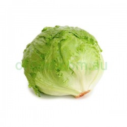 Iceberg Lettuce Per each Iceberg Lettuce Per each