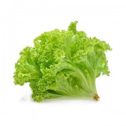 Green Frillice Iceberg Lettuce Per each Green Frillice Iceberg Lettuce Per each