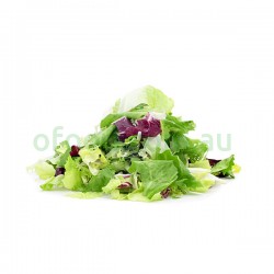 Mixed Lettuce Salad Per Bag Mixed Lettuce Salad Per Bag