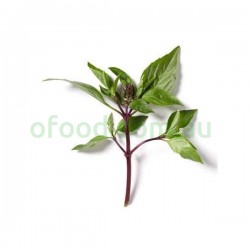 Thai Basil 1 Bunch Thai Basil 1 Bunch