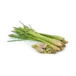 Lemon Grass 1 Bunch Lemon Grass 1 Bunch
