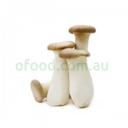 King Oyster Per Bag King Oyster Per Bag