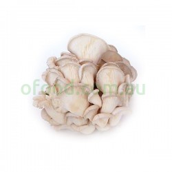 Pearl Mushroom Per Box Pearl Mushroom Per Box