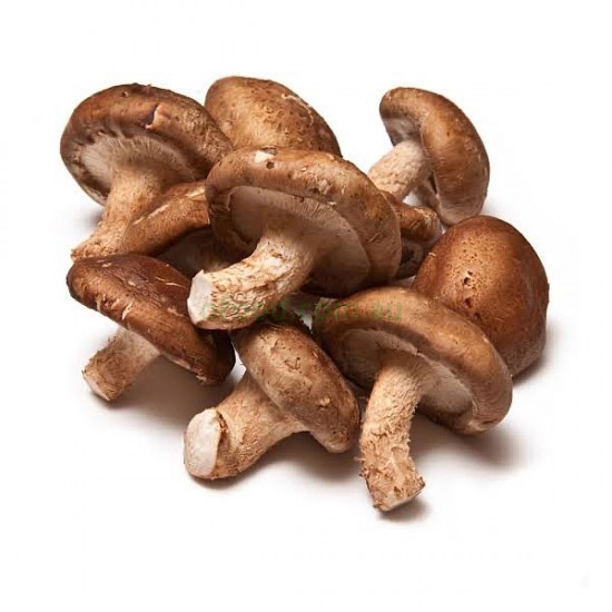 Shiitake Mushroom Per Box