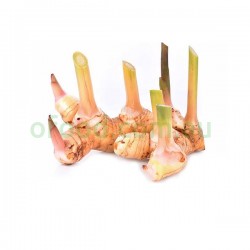 Calangal Ginger Per Bag Calangal Ginger Per Bag