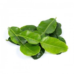Lime Leave Per Bag