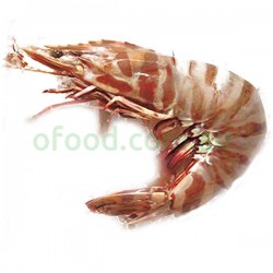 Australia Frozen Tiger Prawn Size 10-15 5Kg Australia Frozen Tiger Prawn Size 10-15 5Kg