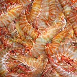 Australia Frozen Tiger Prawn Size 10-15 5Kg Australia Frozen Tiger Prawn Size 10-15 5Kg