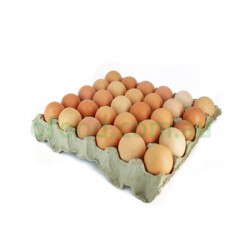 Fresh Egg 700g 30pcs Per Tray Fresh Egg 700g 30pcs Per Tray