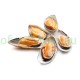 NZ Greenshell Mussel Half Shell Per Kg